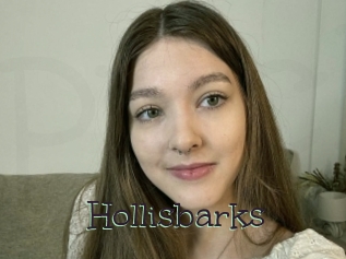 Hollisbarks