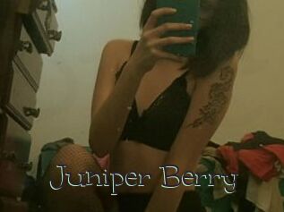 Juniper_Berry