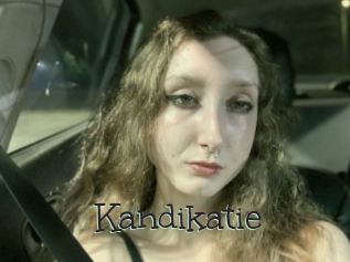 Kandikatie