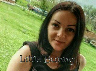 Little_Bunny_