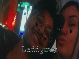 Laddybug