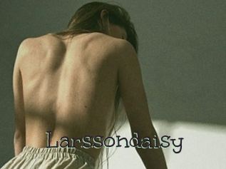 Larssondaisy