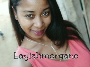 Laylahmorgane