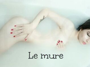 Le_mure