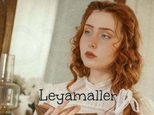 Leyamaller