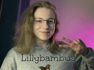 Lillybambus
