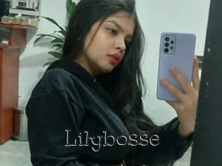 Lilybosse