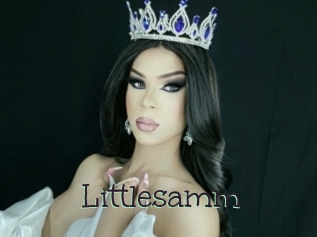 Littlesamm