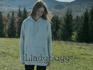 Lladybugg