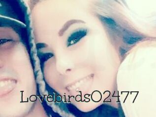 Lovebirds02477