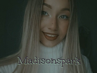 Madisonspark