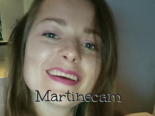 Martinecam