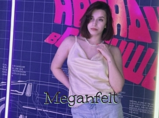 Meganfelt