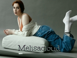 Melisacloud