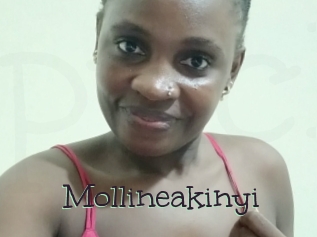 Mollineakinyi
