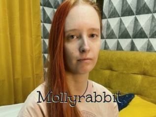 Mollyrabbit