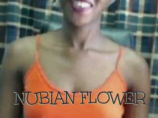 _NUBIAN_FLOWER_