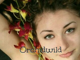 Orchidwild