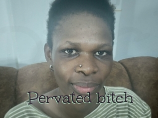 Pervated_bitch