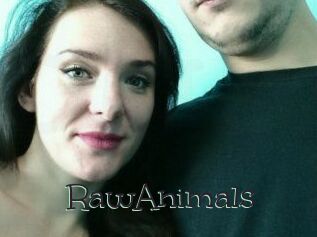 RawAnimals