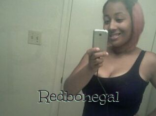 Redbonegal