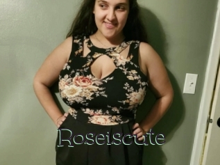 Roseiscute