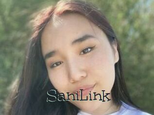 SaniLink
