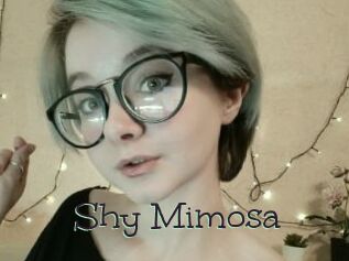 Shy_Mimosa