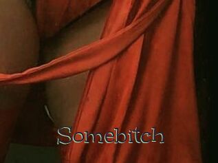 Somebitch