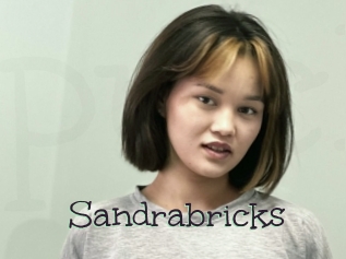 Sandrabricks