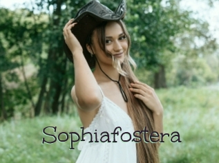 Sophiafostera