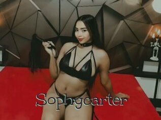 Sophycarter