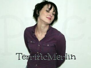 TerrificMerlin