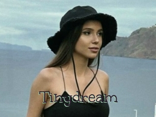 Tinydream