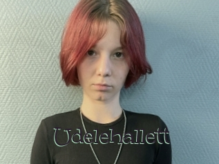 Udelehallett