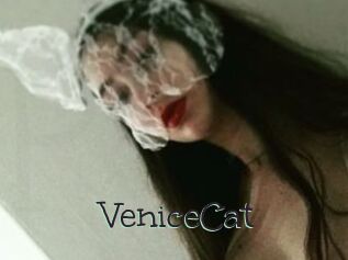 VeniceCat