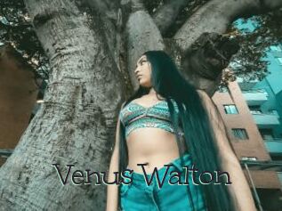 Venus_Walton