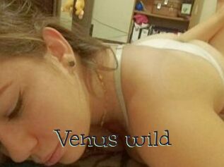 Venus_wild