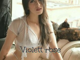 Violett_rose
