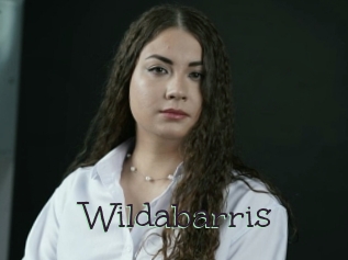 Wildabarris