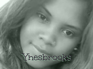 Ynesbrooks